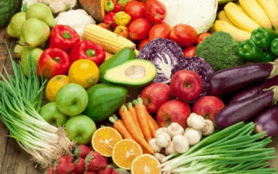 Keeping your immune system fit and firing during times of stress